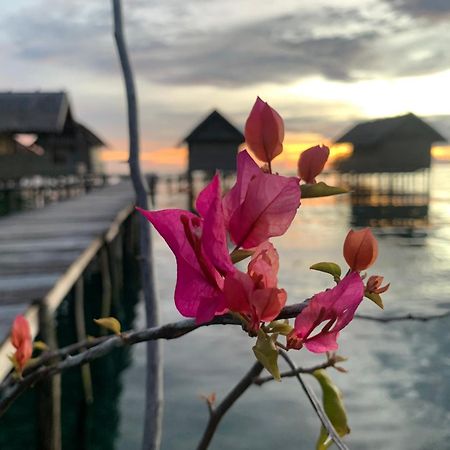 Nyanse Homestay - Raja Ampat Besir 外观 照片