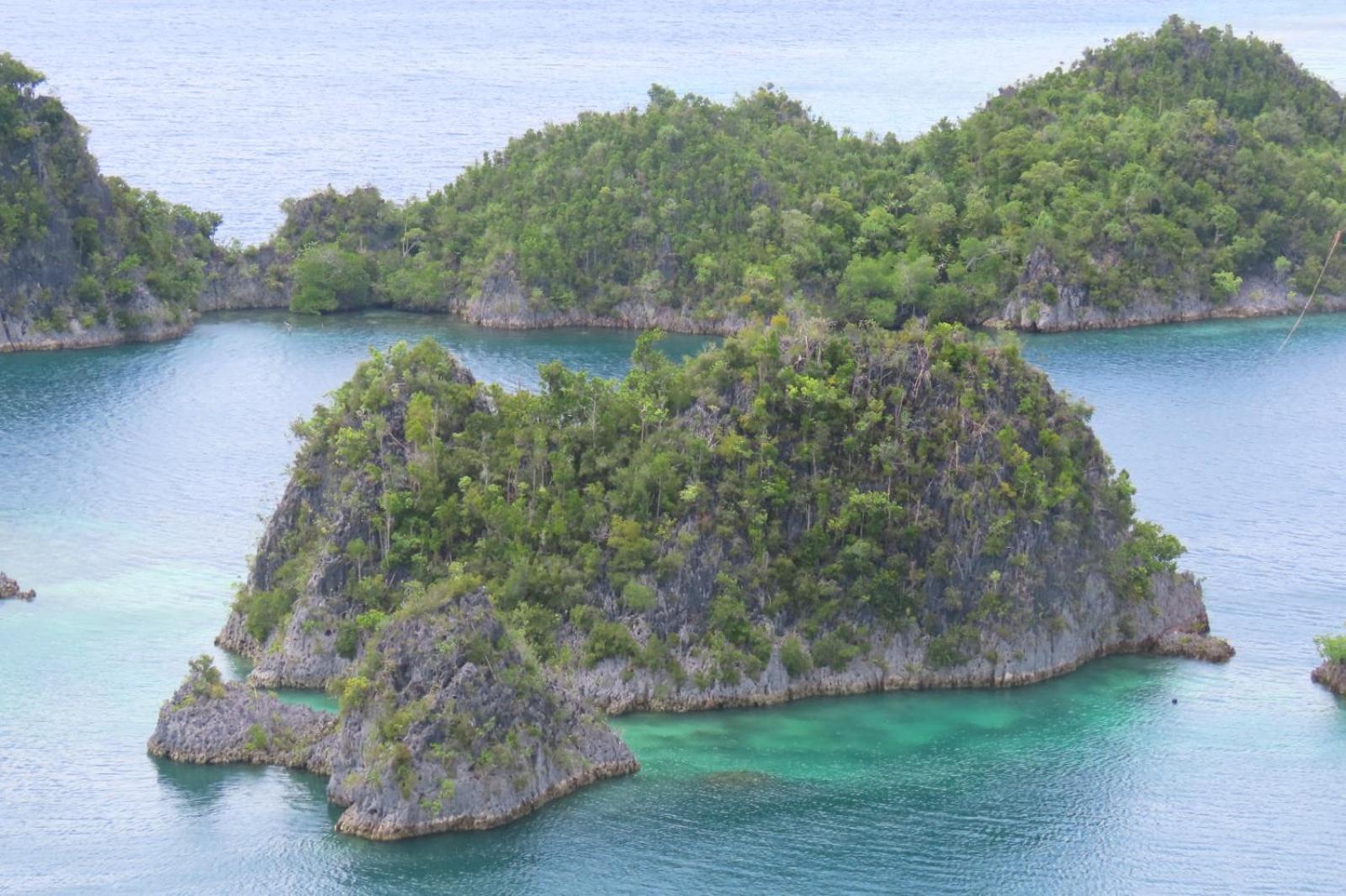 Nyanse Homestay - Raja Ampat Besir 外观 照片
