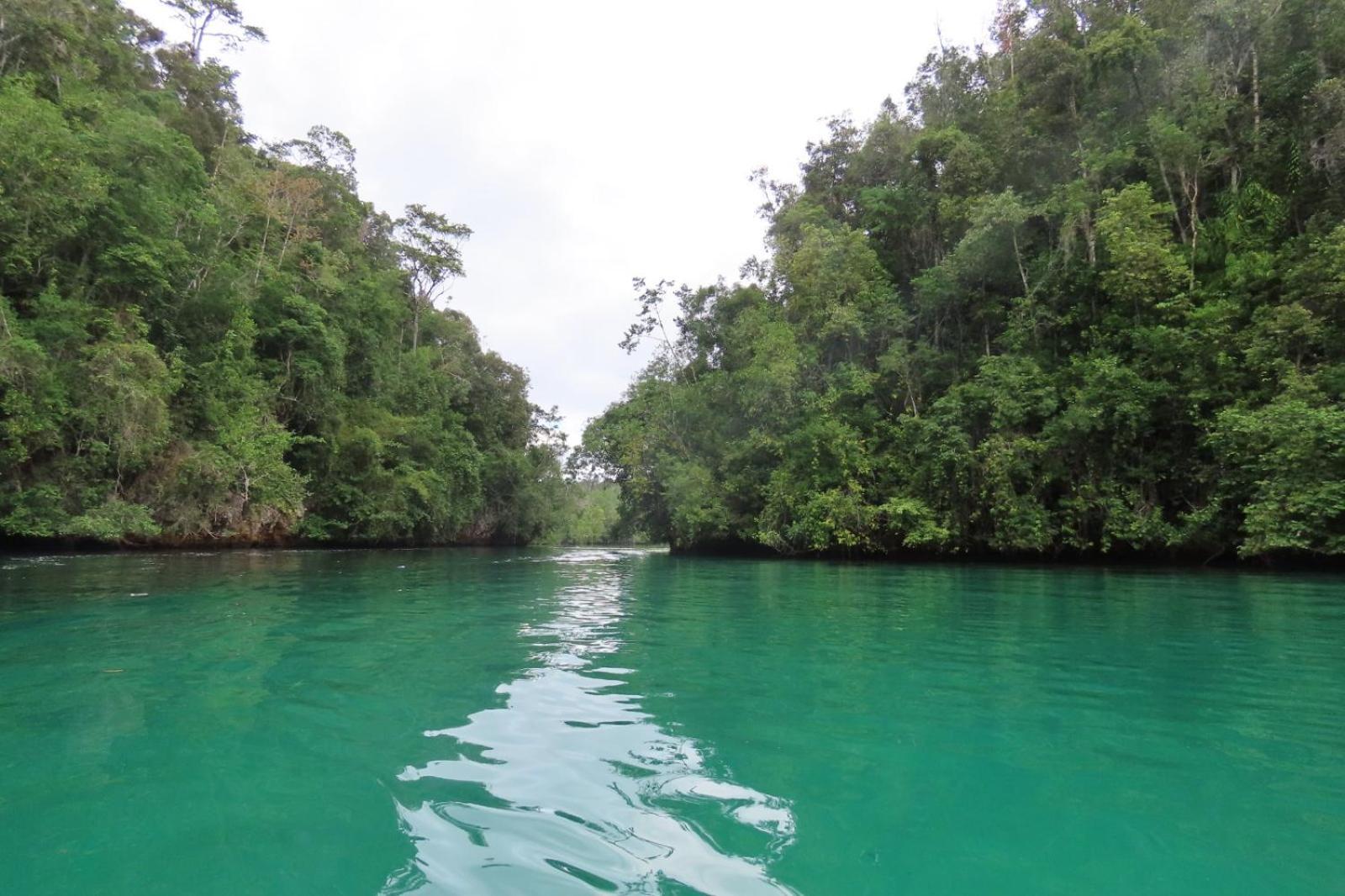 Nyanse Homestay - Raja Ampat Besir 外观 照片