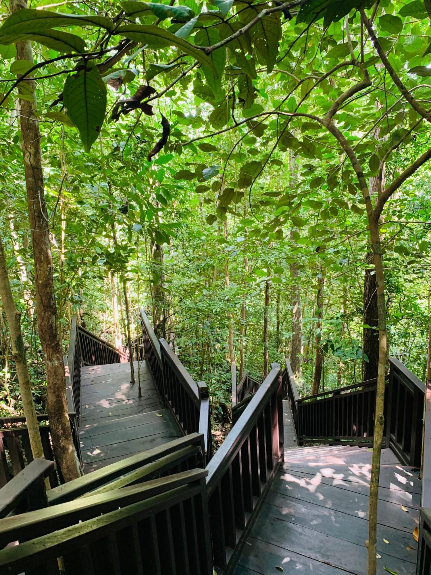 Nyanse Homestay - Raja Ampat Besir 外观 照片