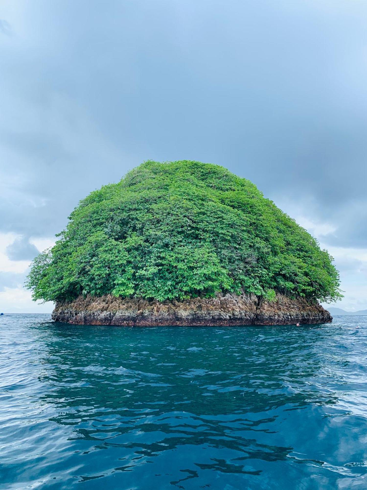 Nyanse Homestay - Raja Ampat Besir 外观 照片
